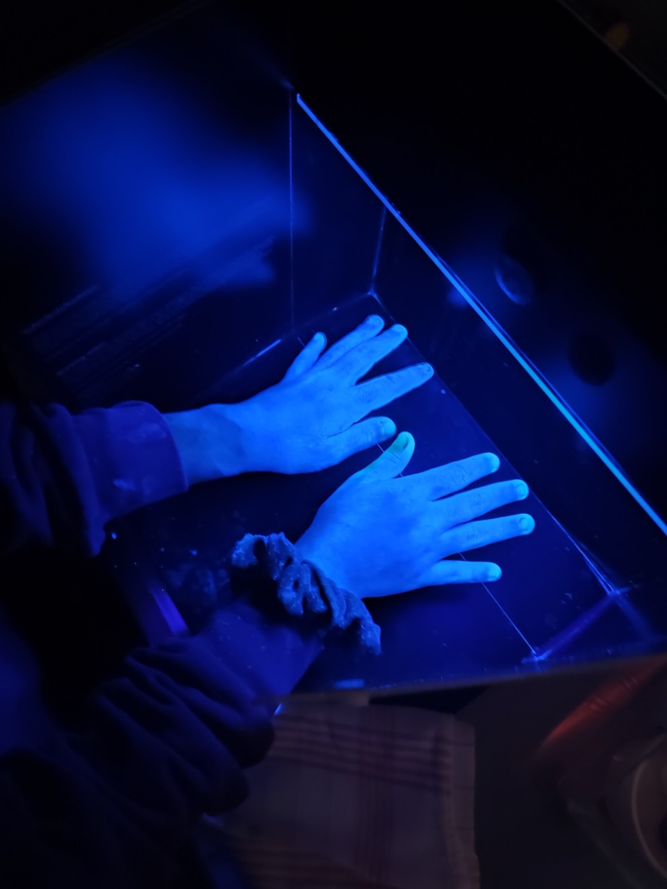 Groß IMG 20251016 124819